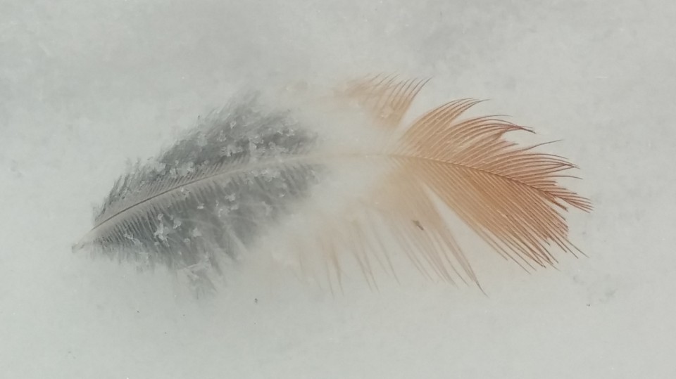  Life with Dad and Everything Else